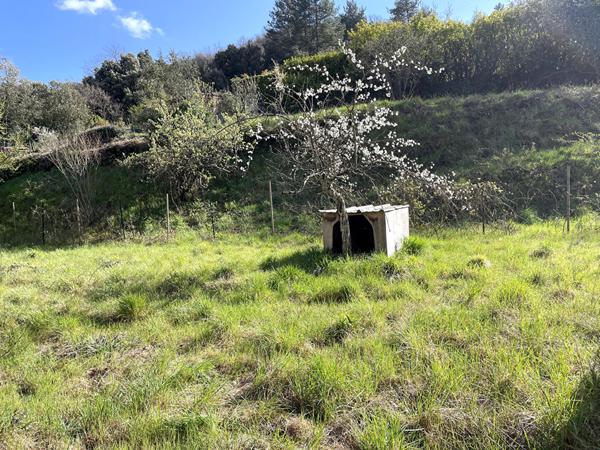 Immeuble en copropriété Saint Etienne Estrechoux environ 330 m2 avec jardin