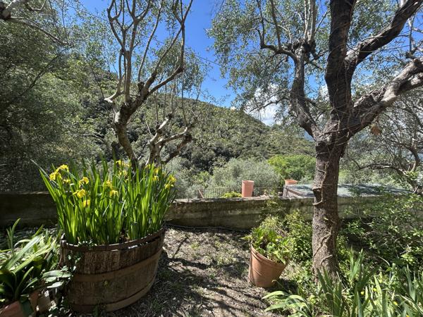 Maison 8 pièces - 180 m² Bien prestige