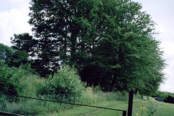 Vente Terrain 2005 m2 à Crépy-en-Valois