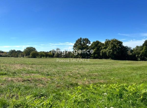 Terrain à MUSSIDAN, 24400 - 4608m²