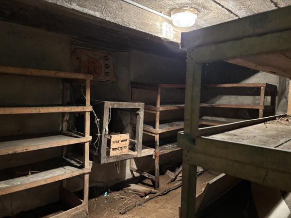 Diou – Authentique maison de maître avec 9140 m² de terrain, idéale pour chambres d'hôtes Diou (03290)