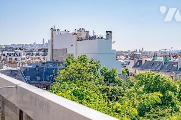 Rare : 2 pièces rénové avec terrasse plein ciel, dernier étage, vue monumentale