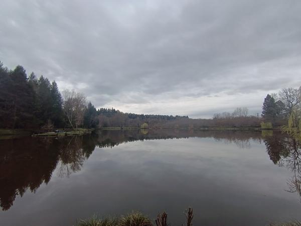 87350 PANAZOL - Propriété de 6 hectares avec 4 étangs. 128 000 €