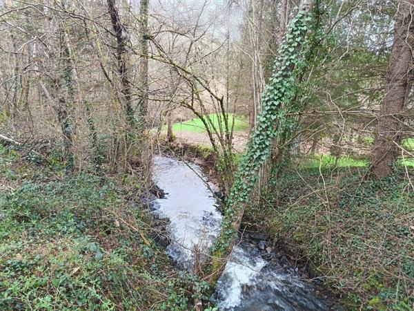 87350 PANAZOL - Propriété de 6 hectares avec 4 étangs. 128 000 €