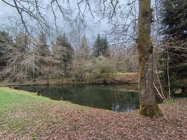 87350 PANAZOL - Propriété de 6 hectares avec 4 étangs. 128 000 €