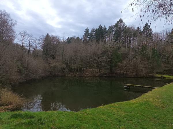 87350 PANAZOL - Propriété de 6 hectares avec 4 étangs. 128 000 €