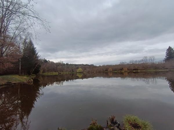 87350 PANAZOL - Propriété de 6 hectares avec 4 étangs. 128 000 €
