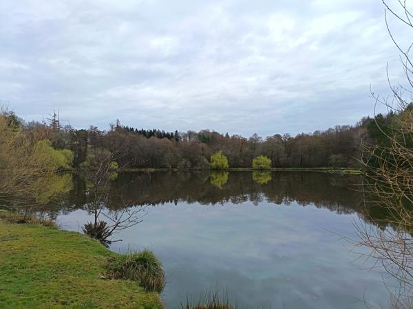 87350 PANAZOL - Propriété de 6 hectares avec 4 étangs. 128 000 €