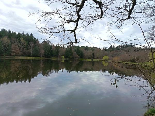 87350 PANAZOL - Propriété de 6 hectares avec 4 étangs. 128 000 €