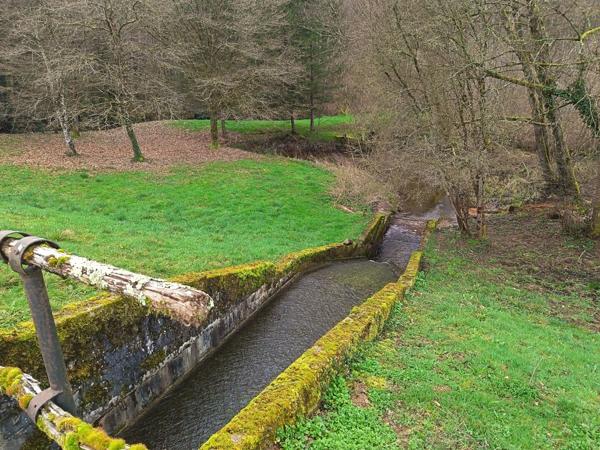 87350 PANAZOL - Propriété de 6 hectares avec 4 étangs. 128 000 €