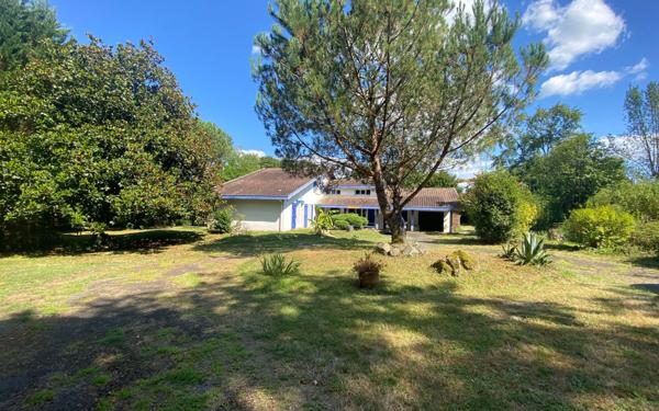 Maison à vendre    7 pièces •  Pomarez