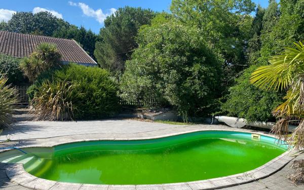 Maison à vendre    7 pièces •  Pomarez