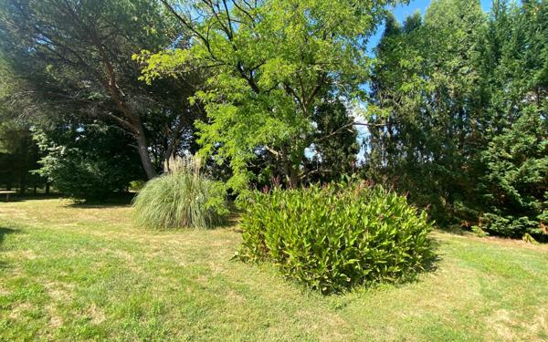 Maison à vendre    7 pièces •  Pomarez