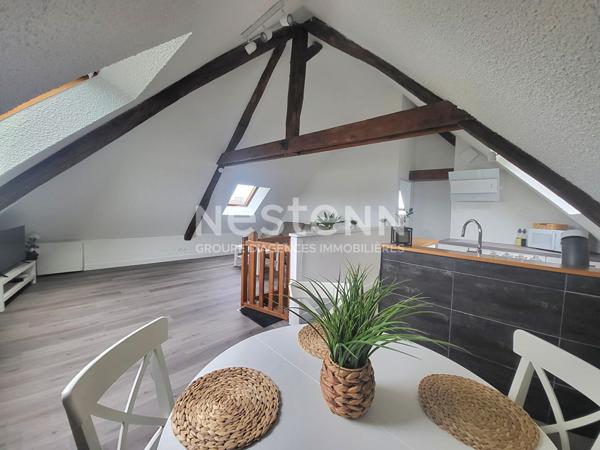 Appartement T2 refait à neuf avec Vue Loire et Parking Privé