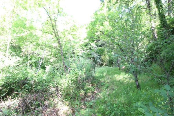 Saint-Affrique (12400) TERRAIN A BATIR DE 3293m²