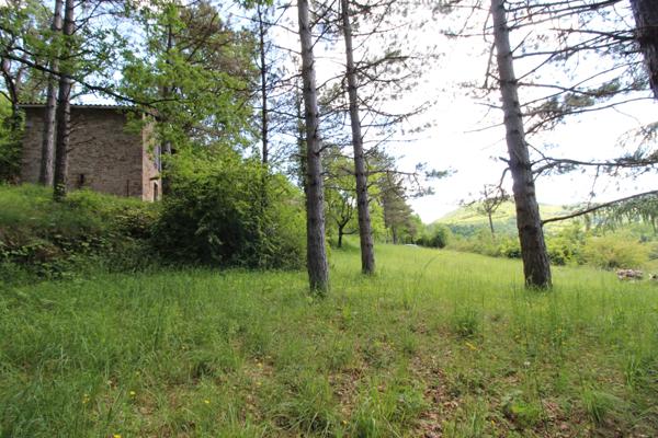 Saint-Affrique (12400) TERRAIN A BATIR DE 3293m²