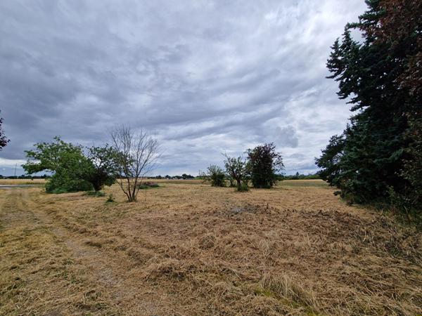 37270 ATHEE-SUR-CHER Terrain de 980m² à vendre