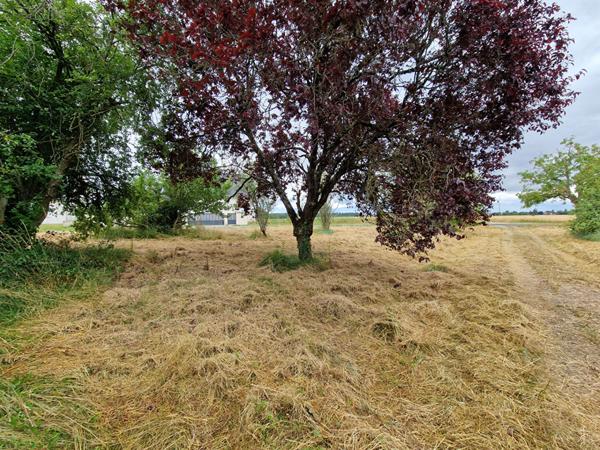 37270 ATHEE-SUR-CHER Terrain de 980m² à vendre