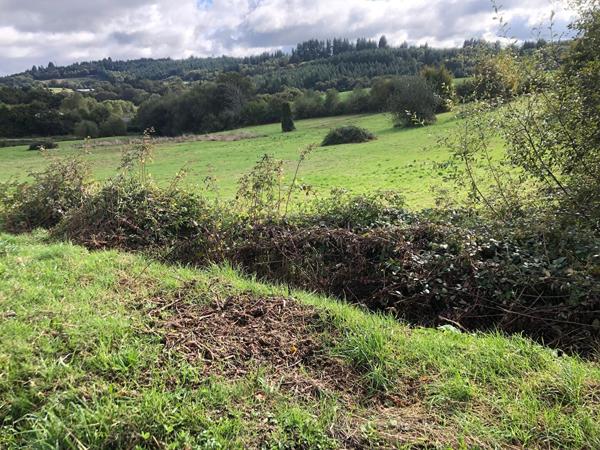 Terrain * 13819 M² * 19250 Meymac * 181 900  €