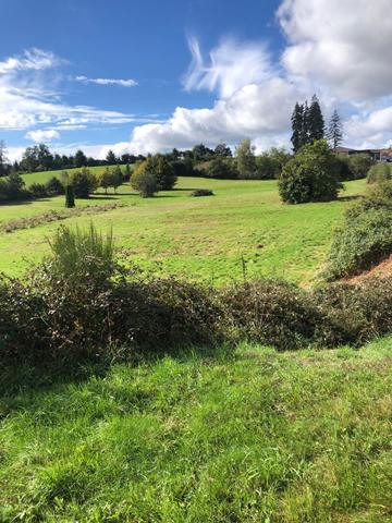 Terrain * 13819 M² * 19250 Meymac * 181 900  €