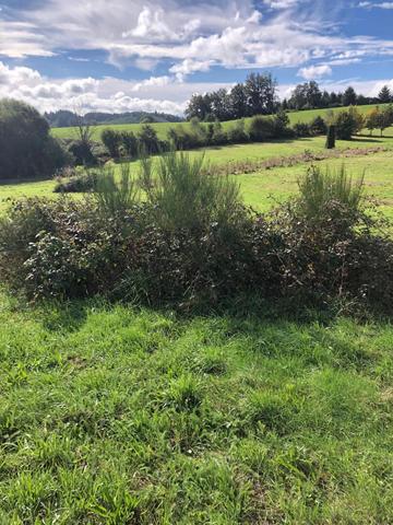 Terrain * 13819 M² * 19250 Meymac * 181 900  €