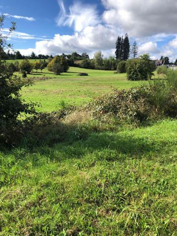 Terrain * 13819 M² * 19250 Meymac * 181 900  €