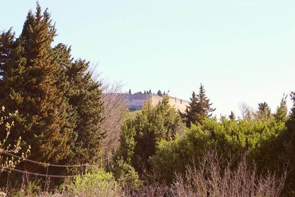 Maison en Viager occupé sans rente. Villeneuve-Lès-Avignon 9 pièce(s) 174 m2
