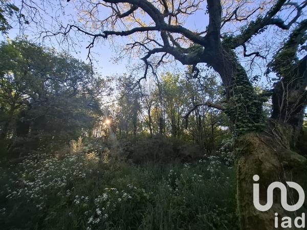 Terrain à vendre 2 325 m² La Bernerie-en-Retz