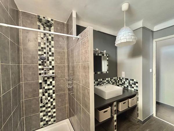 APPARTEMENT - DEUX CHAMBRES - CLIMATISATION - CAVE