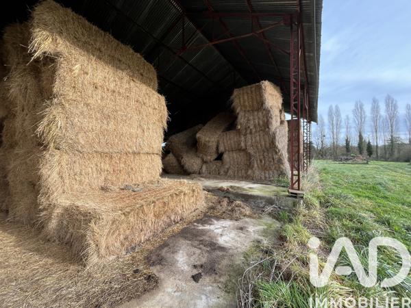 Terrain à vendre 15 845 m² Saint-Savin