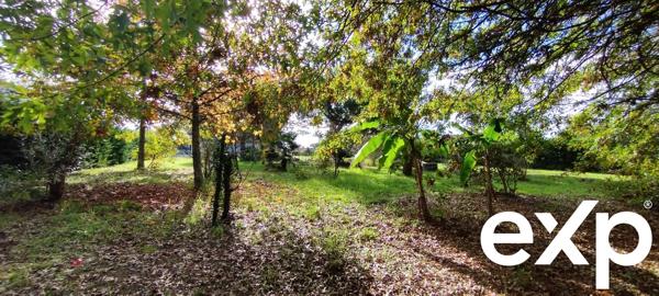 ST GEOURS DE MAREMNE