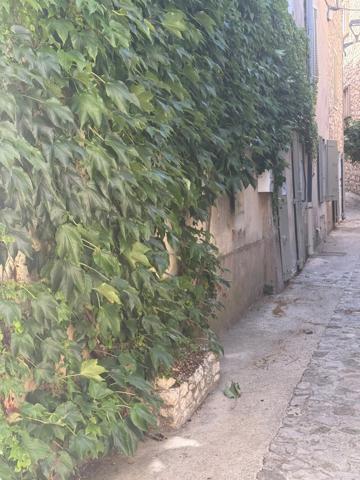 Appartement/Local/Atelier à vendre 3 pièces VENTABREN (13)