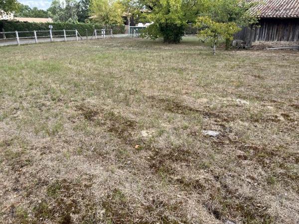 Terrain 185 300 € Salles 670 m² DPE