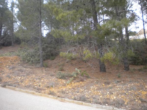 Lotissement Les Terrasses de Peyrafeux Mondragon Mondragon (84430)