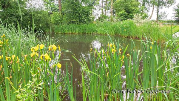 Magnifique longère de caractère proche FÉCAMP de 212 m² sur un terrain de 4500 m² avec étang ,garage et dépendance. 5 Chambres.