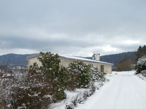 RUPT SUR MOSELLE (88)A vendre propriété T 10 pièces de 195m² sur sous sol + 4 box à chevaux +rucher, terrain 3.6 hectares.