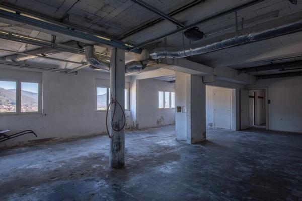 RUPT SUR MOSELLE (88)A vendre propriété T 10 pièces de 195m² sur sous sol + 4 box à chevaux +rucher, terrain 3.6 hectares.