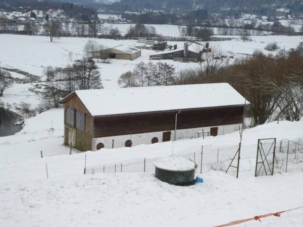 RUPT SUR MOSELLE (88)A vendre propriété T 10 pièces de 195m² sur sous sol + 4 box à chevaux +rucher, terrain 3.6 hectares.