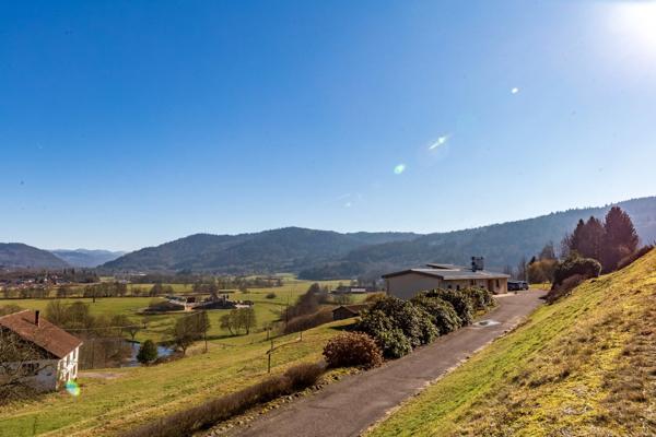 RUPT SUR MOSELLE (88)A vendre propriété T 10 pièces de 195m² sur sous sol + 4 box à chevaux +rucher, terrain 3.6 hectares.