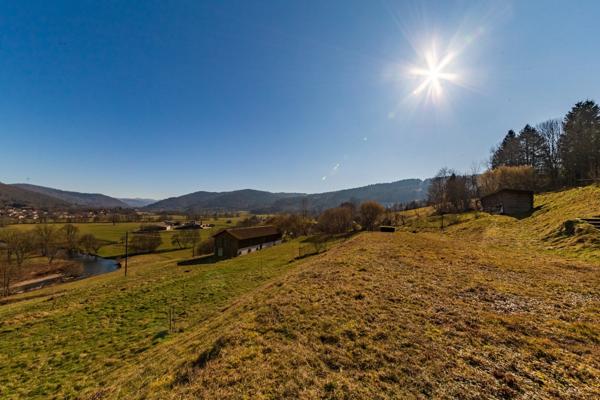 RUPT SUR MOSELLE (88)A vendre propriété T 10 pièces de 195m² sur sous sol + 4 box à chevaux +rucher, terrain 3.6 hectares.