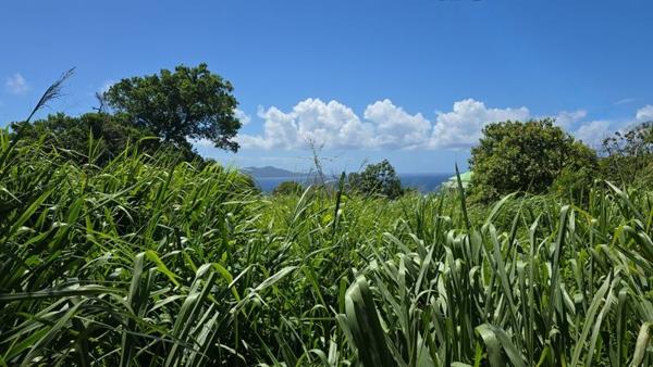 Terrain à vendre |  Trois-Rivières |  780 m²