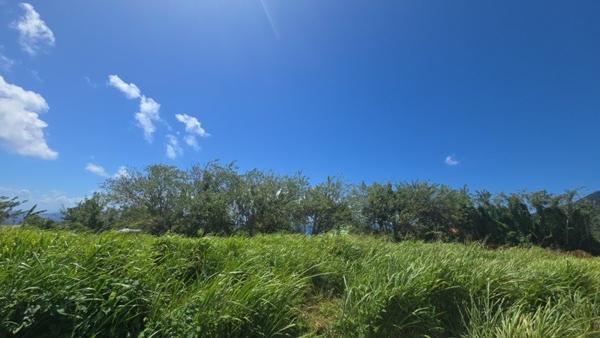 Terrain à vendre |  Trois-Rivières |  780 m²