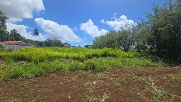 Terrain à vendre |  Trois-Rivières |  780 m²