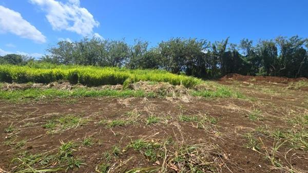 Terrain à vendre |  Trois-Rivières |  780 m²