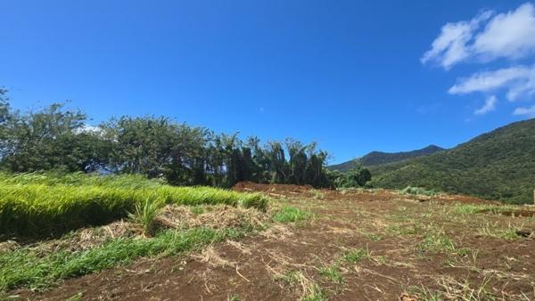 Terrain à vendre |  Trois-Rivières |  780 m²