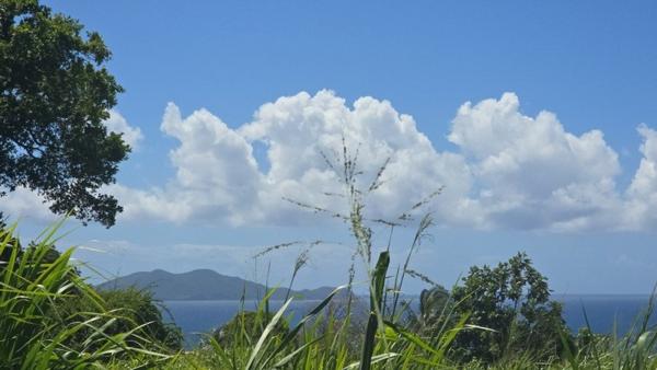 Terrain à vendre |  Trois-Rivières |  780 m²