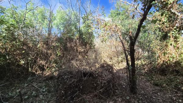 Terrain
        
        - 502 m² 84 990 € *