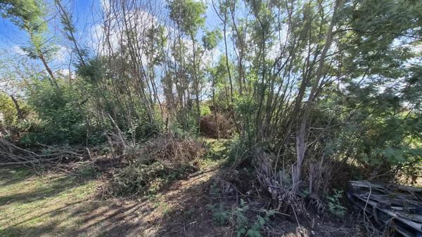 Terrain
        
        - 502 m² 84 990 € *