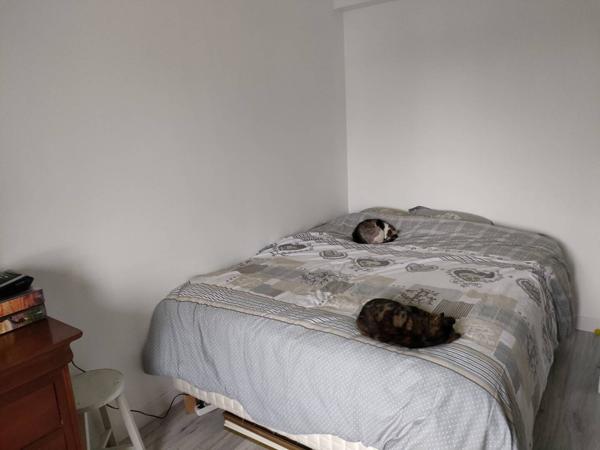 Achat maison Rozay-en-Brie - 6 pièce(s) - 130 m² - 399 900 €