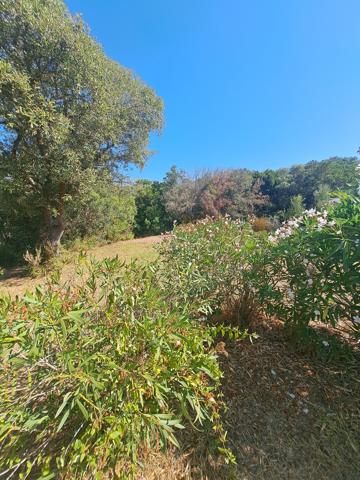 Appartement 2 pièces - 30 m²